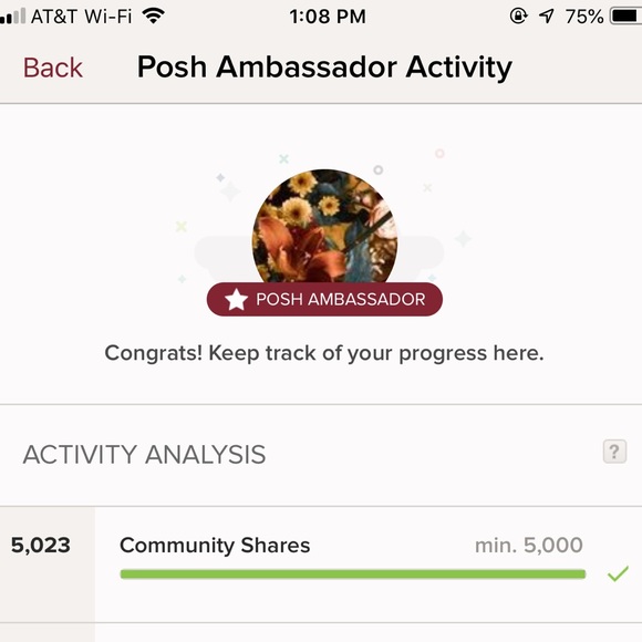 🌟POSH AMBASSADOR🌟 - Picture 3 of 3